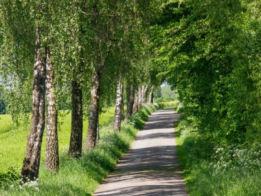 Alman Munesterland 'inde bahar geldi.
