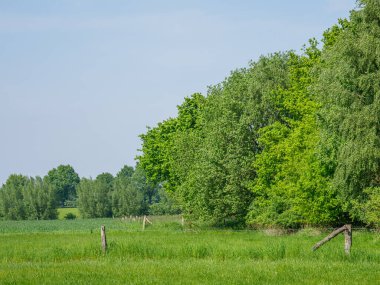 Alman Munesterland 'inde bahar geldi.