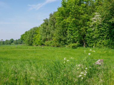 Alman Munesterland 'inde bahar geldi.