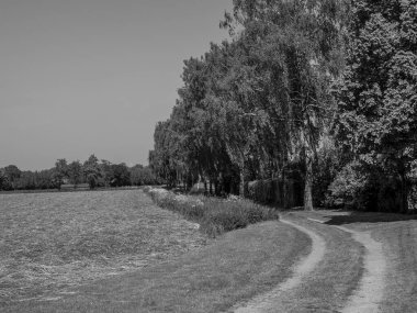 Alman Munesterland 'inde bahar geldi.