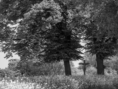 Alman Munesterland 'inde bahar geldi.