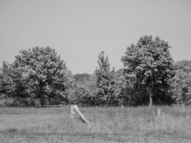 Alman Munesterland 'inde bahar geldi.