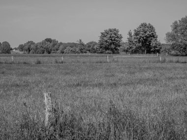 Alman Munesterland 'inde bahar geldi.