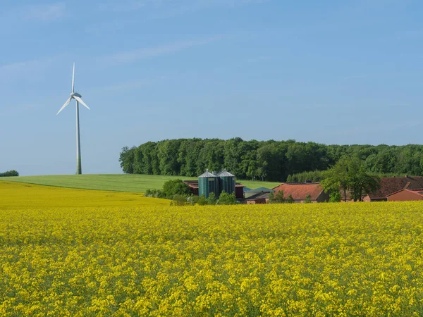 Alman Munesterland 'inde bahar geldi.