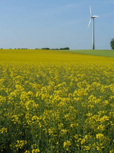 Stock image spring time in the german munesterland