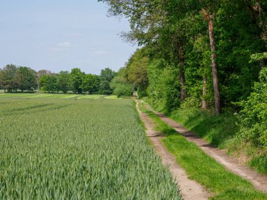 Alman Westphalia 'sında yaz mevsimi