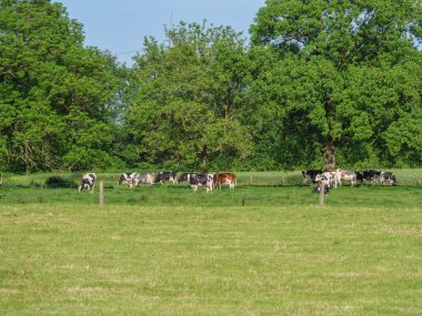 Alman Westphalia 'sında yaz mevsimi
