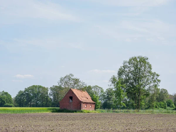 stock image summer time in the german westphalia