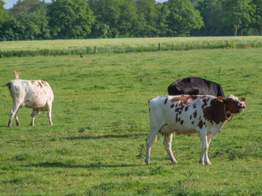 Almanya 'da yaz başları.