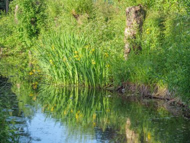 Almanya 'da yaz başları.