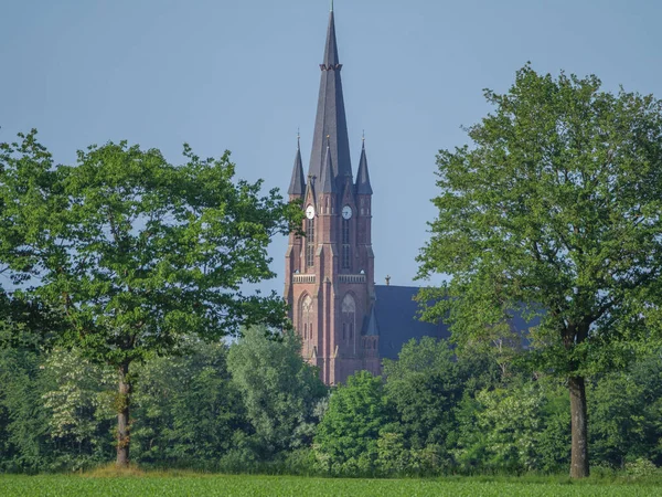 stock image early summer time in the germany munsterland