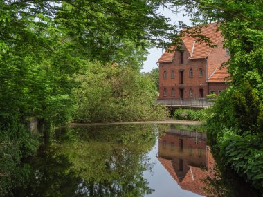 Yazın başında Ochtrup yakınlarındaki Alman Muensterland 'inde.