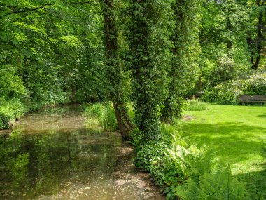 Yazın başında Ochtrup yakınlarındaki Alman Muensterland 'inde.