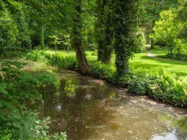 Yazın başında Ochtrup yakınlarındaki Alman Muensterland 'inde.