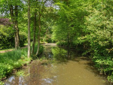 Yazın başında Ochtrup yakınlarındaki Alman Muensterland 'inde.