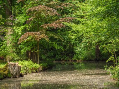 Yazın başında Ochtrup yakınlarındaki Alman Muensterland 'inde.
