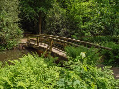 Yazın başında Ochtrup yakınlarındaki Alman Muensterland 'inde.