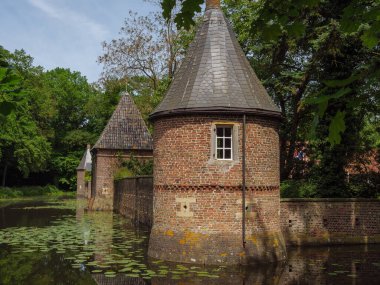 Yazın başında Ochtrup yakınlarındaki Alman Muensterland 'inde.