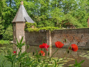 Yazın başında Ochtrup yakınlarındaki Alman Muensterland 'inde.