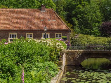 Yazın başında Ochtrup yakınlarındaki Alman Muensterland 'inde.
