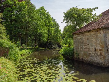 Yazın başında Ochtrup yakınlarındaki Alman Muensterland 'inde.