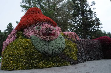 Almanya 'daki Constance gölünde çiçekler