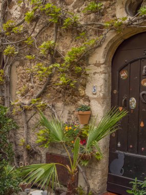 Fransa 'da Akdeniz' de Cannes