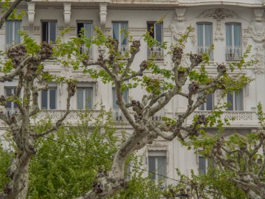 Fransa 'da Akdeniz' de Cannes