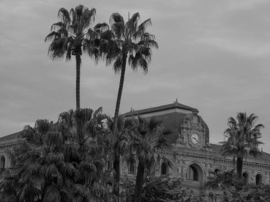 Fransa 'da Akdeniz' de Cannes