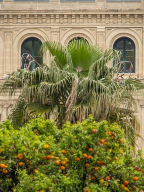 Fransa 'da Akdeniz' de Cannes