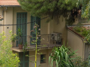 Fransa 'da Akdeniz' de Cannes