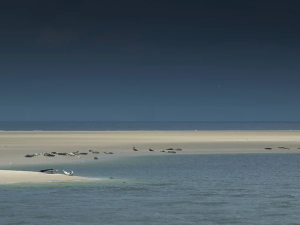 stock image The island of Borkum in the german north sea