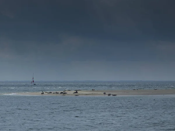 Ilha Borkum Mar Norte Alemão — Fotografia de Stock