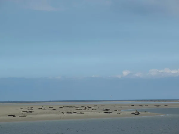 Alman Kuzey Denizindeki Borkum Adası — Stok fotoğraf