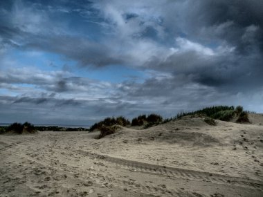 Almanya 'da Borkum Adası