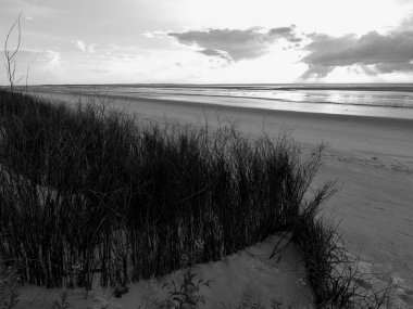 Alman kuzey denizindeki Spiekeroog adası.