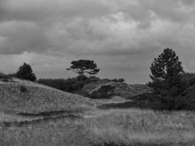 Alman kuzey denizindeki Spiekeroog adası.