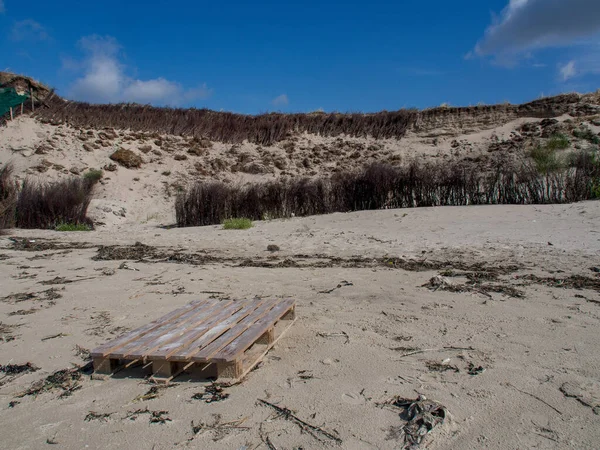 stock image The island of Spiekeroog in the german north sea