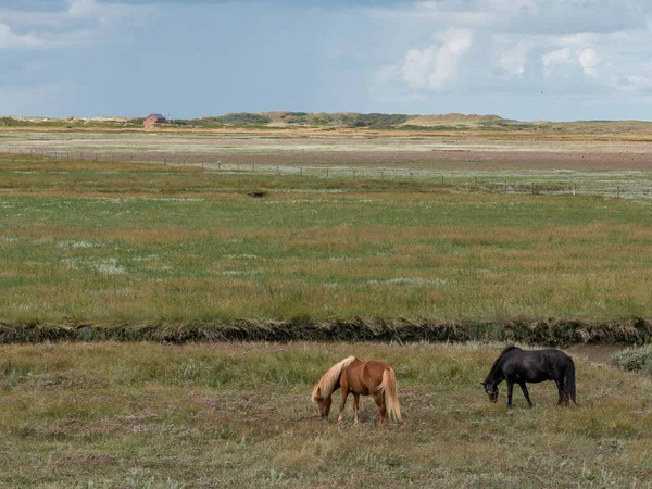 stock image The island of Spiekeroog in the german north sea