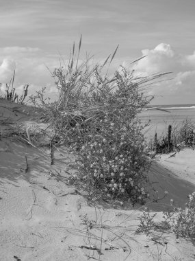 Alman kuzey denizindeki Spiekeroog adası.