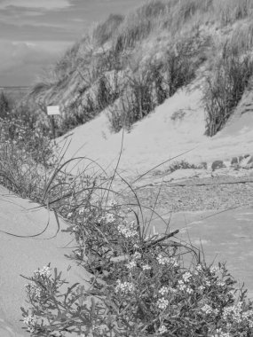 Alman kuzey denizindeki Spiekeroog adası.