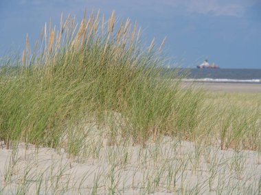 Alman kuzey denizindeki Spiekeroog adası.