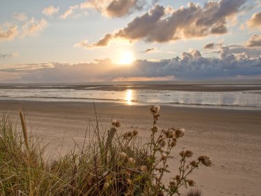 Alman kuzey denizindeki Spiekeroog adası.