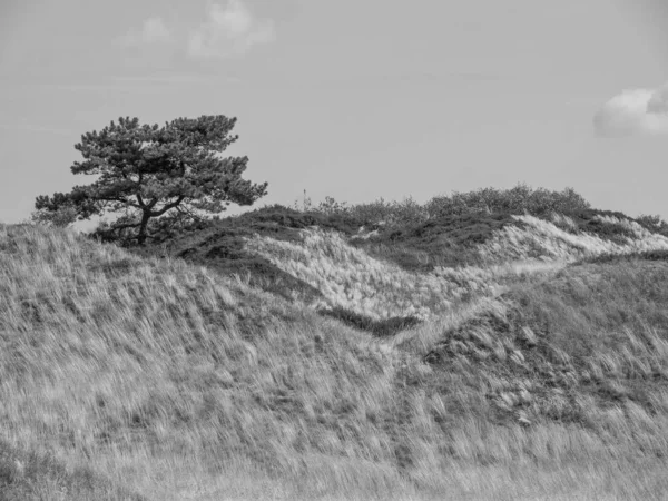 Stock image The island of Spiekeroog in the german north sea