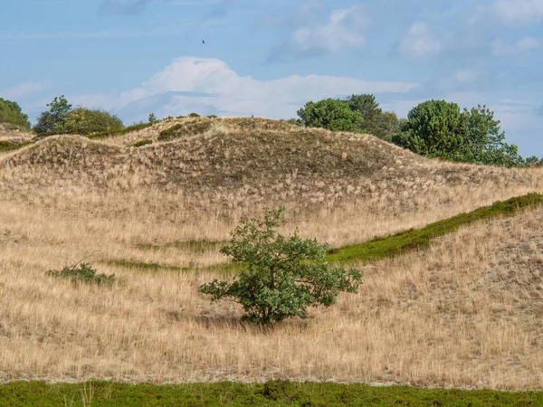 stock image The island of Spiekeroog in the german north sea