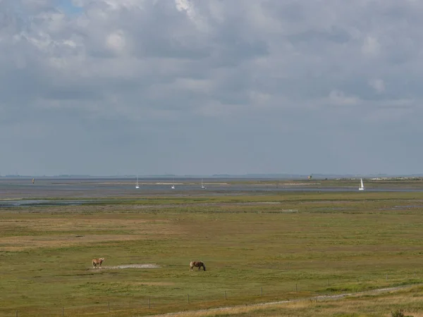 Остров Икеруг Немецком Северном Море — стоковое фото