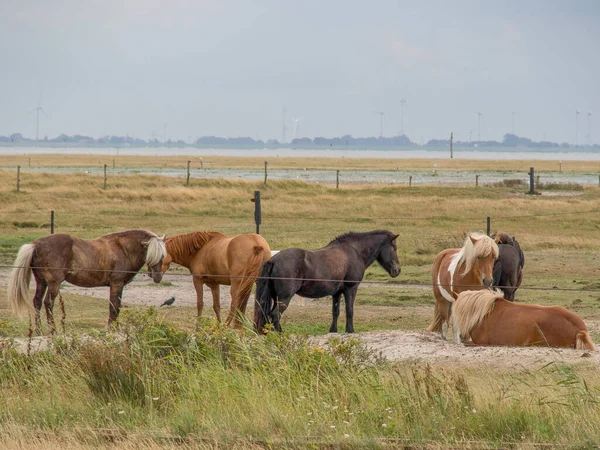 stock image The island of Spiekeroog in the german north sea