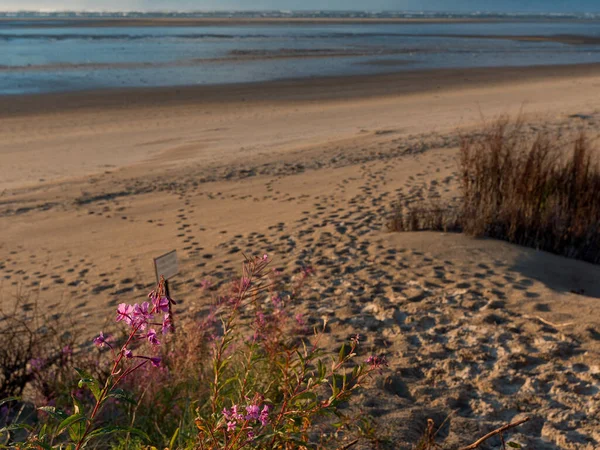 stock image The island of Spiekeroog in the german north sea