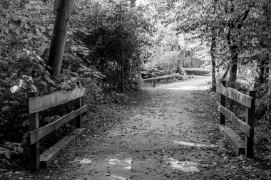Alman Muensterland 'indeki Weseke köyü.