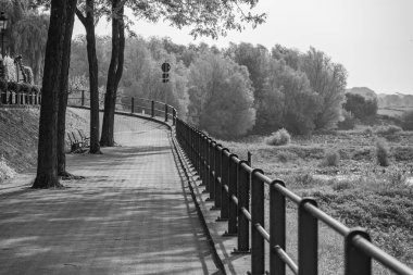 Yaz mevsimi Ren Nehri 'nde